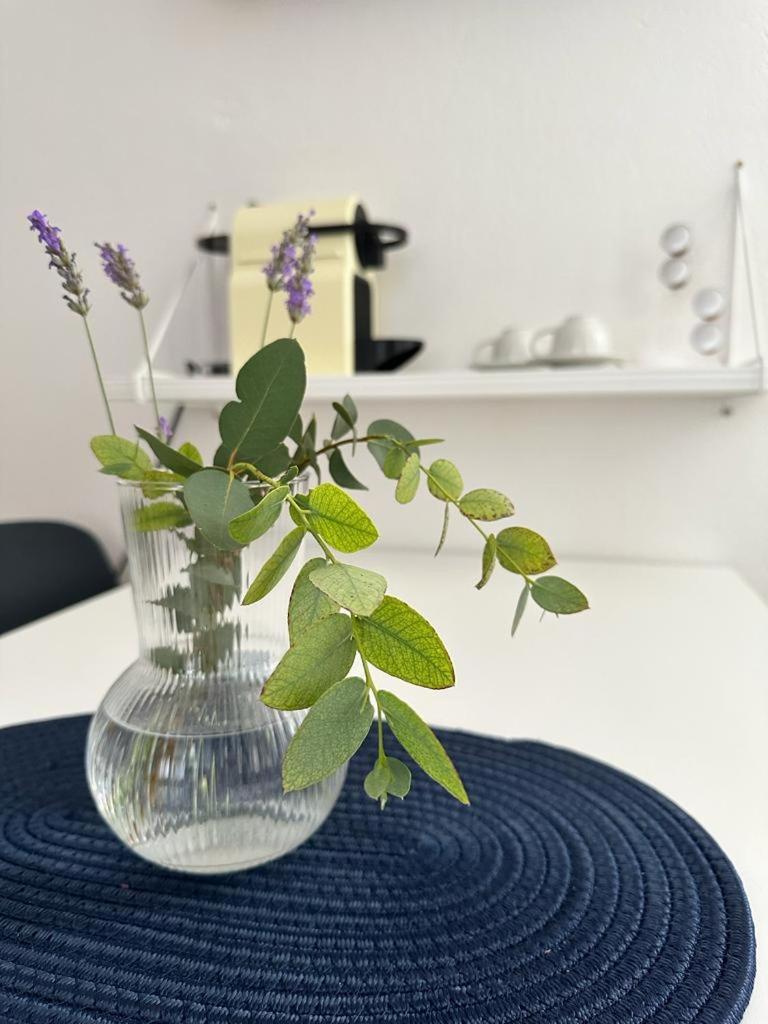 Apartments Zora Трогир Екстериор снимка