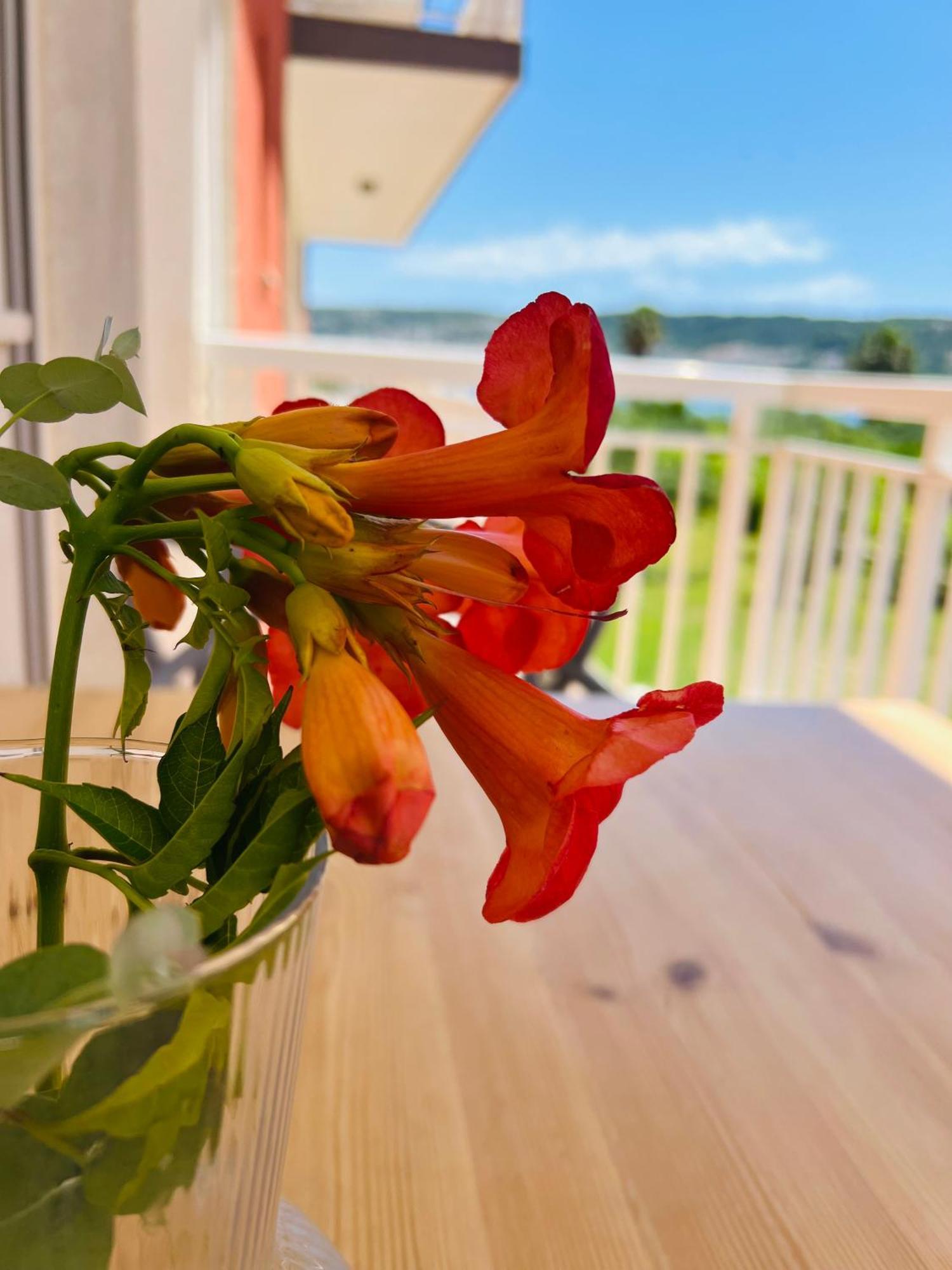 Apartments Zora Трогир Екстериор снимка